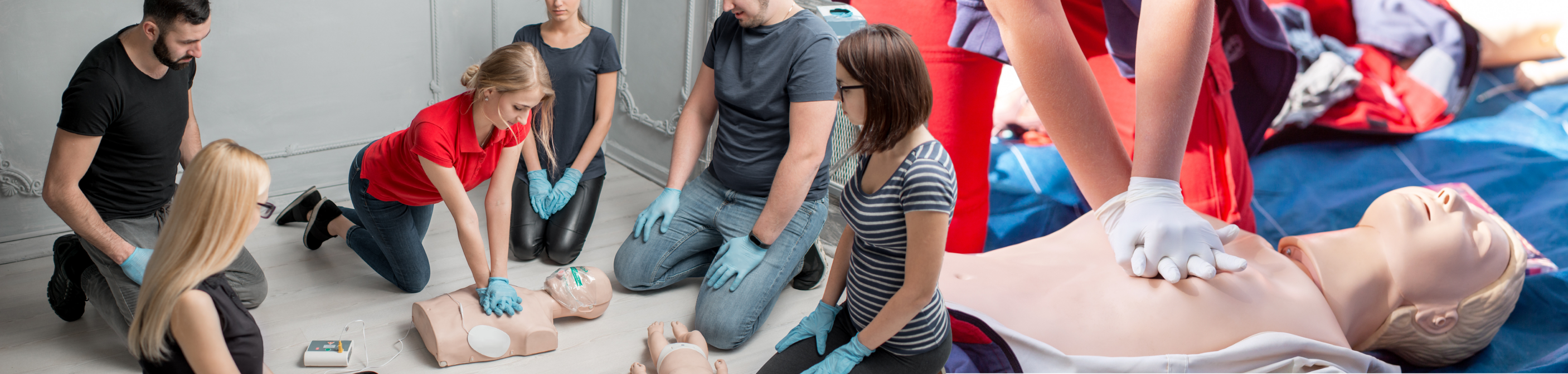 Lifesaving Instructors, Expert Swim Training